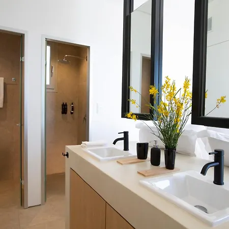 Elyane 别墅 瓦西利基