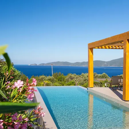 Elyane * 瓦西利基